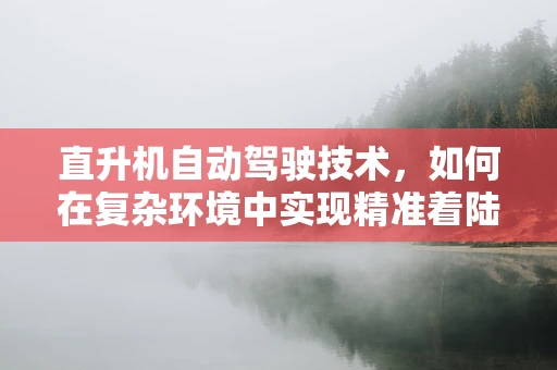 直升机自动驾驶技术，如何在复杂环境中实现精准着陆？