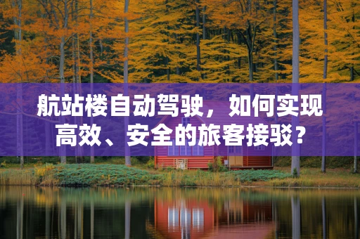 航站楼自动驾驶，如何实现高效、安全的旅客接驳？