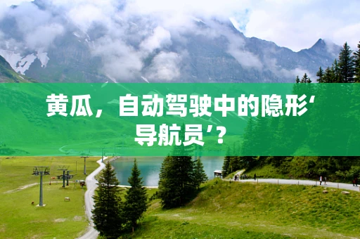 黄瓜，自动驾驶中的隐形‘导航员’？
