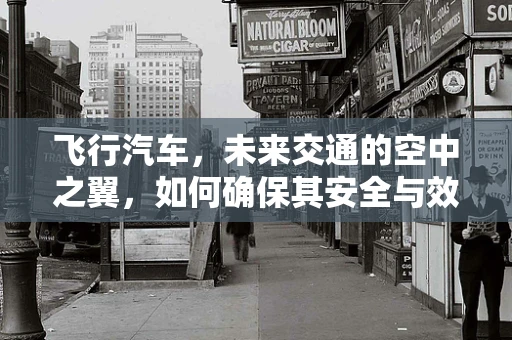 飞行汽车，未来交通的空中之翼，如何确保其安全与效率？