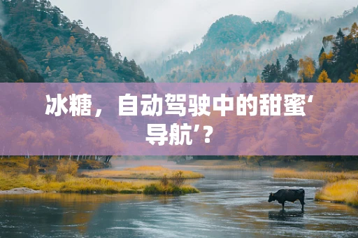 冰糖，自动驾驶中的甜蜜‘导航’？