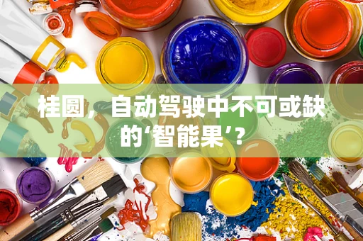 桂圆，自动驾驶中不可或缺的‘智能果’？
