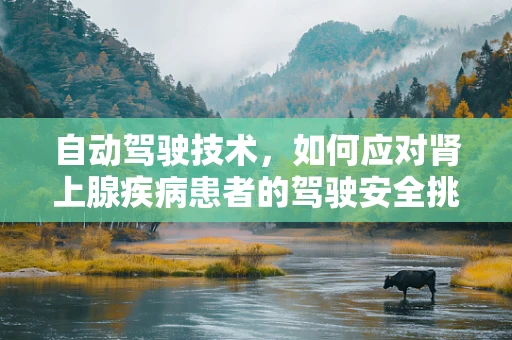 自动驾驶技术，如何应对肾上腺疾病患者的驾驶安全挑战？