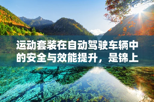 运动套装在自动驾驶车辆中的安全与效能提升，是锦上添花还是必要之选？