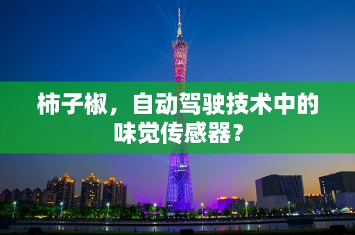 柿子椒，自动驾驶技术中的味觉传感器？