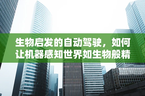 生物启发的自动驾驶，如何让机器感知世界如生物般精准？