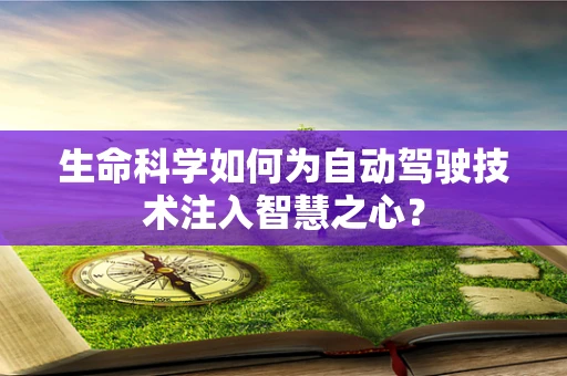 生命科学如何为自动驾驶技术注入智慧之心？