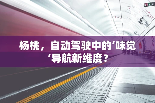 杨桃，自动驾驶中的‘味觉’导航新维度？