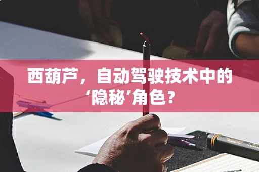 西葫芦，自动驾驶技术中的‘隐秘’角色？