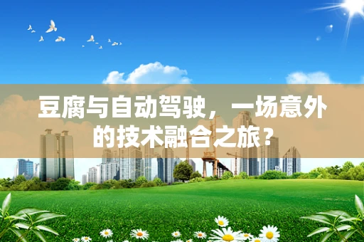 豆腐与自动驾驶，一场意外的技术融合之旅？