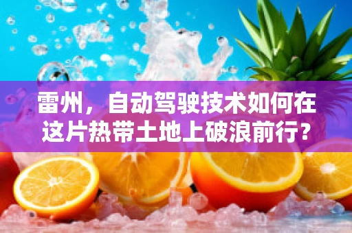 雷州，自动驾驶技术如何在这片热带土地上破浪前行？