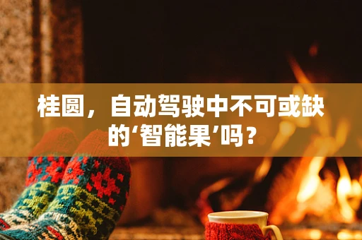 桂圆，自动驾驶中不可或缺的‘智能果’吗？