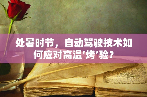 处暑时节，自动驾驶技术如何应对高温‘烤’验？