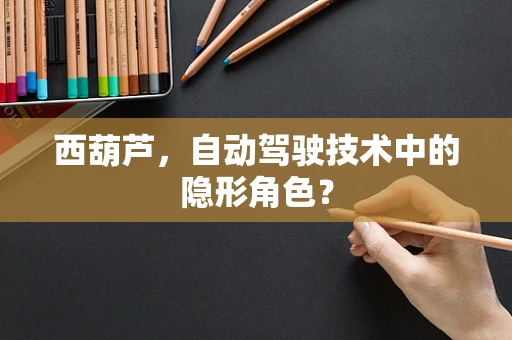 西葫芦，自动驾驶技术中的隐形角色？