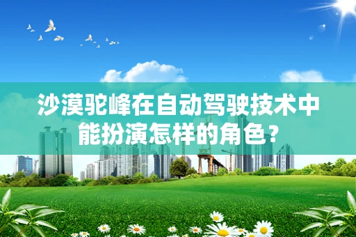 沙漠驼峰在自动驾驶技术中能扮演怎样的角色？