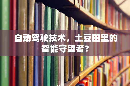 自动驾驶技术，土豆田里的智能守望者？