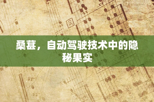 桑葚，自动驾驶技术中的隐秘果实