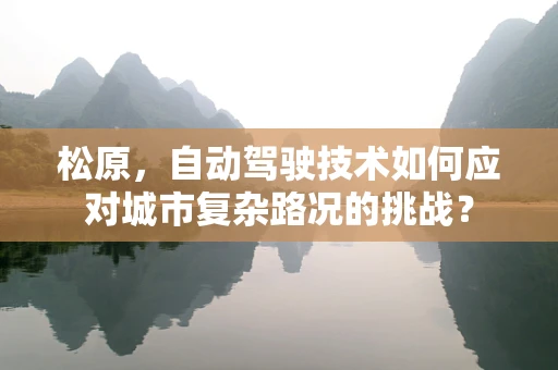 松原，自动驾驶技术如何应对城市复杂路况的挑战？