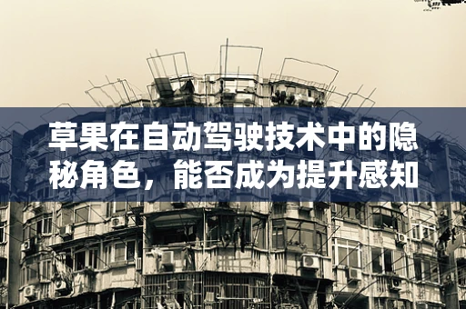 草果在自动驾驶技术中的隐秘角色，能否成为提升感知精度的关键？