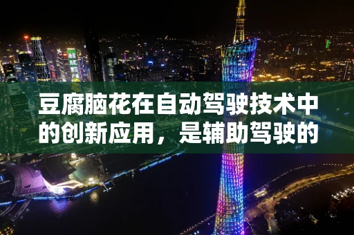 豆腐脑花在自动驾驶技术中的创新应用，是辅助驾驶的未来食材吗？
