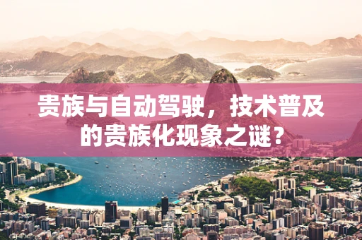 贵族与自动驾驶，技术普及的贵族化现象之谜？