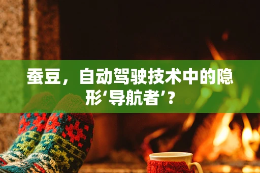 蚕豆，自动驾驶技术中的隐形‘导航者’？