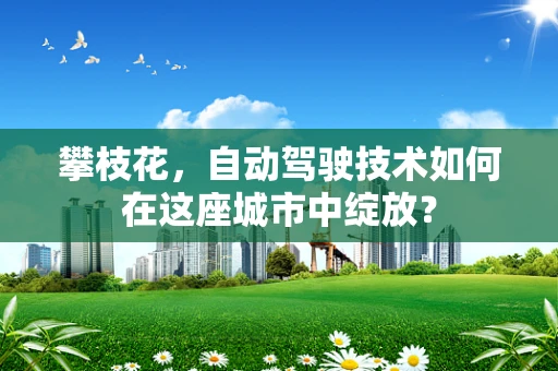 攀枝花，自动驾驶技术如何在这座城市中绽放？