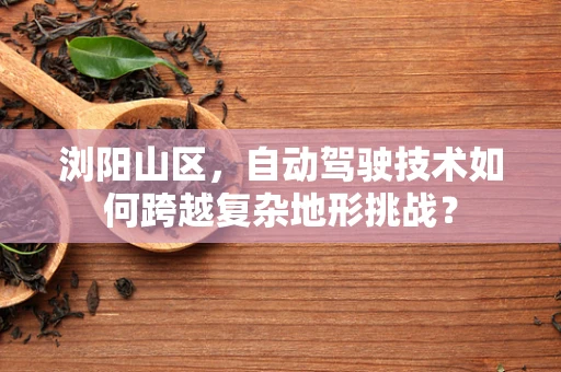 浏阳山区，自动驾驶技术如何跨越复杂地形挑战？