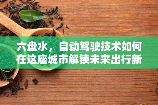 六盘水，自动驾驶技术如何在这座城市解锁未来出行新篇章？