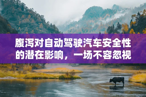 腹泻对自动驾驶汽车安全性的潜在影响，一场不容忽视的‘肠胃危机’