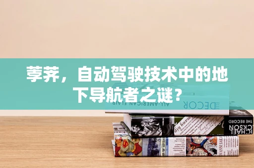 荸荠，自动驾驶技术中的地下导航者之谜？