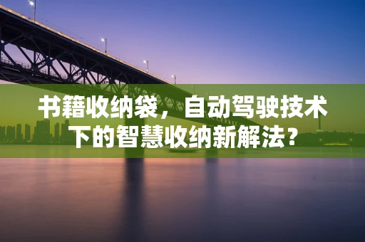 书籍收纳袋，自动驾驶技术下的智慧收纳新解法？
