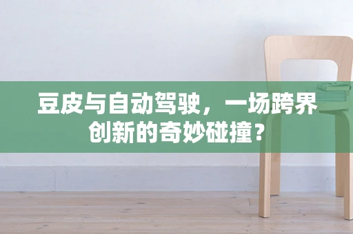 豆皮与自动驾驶，一场跨界创新的奇妙碰撞？