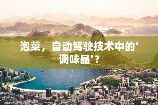 泡菜，自动驾驶技术中的‘调味品’？