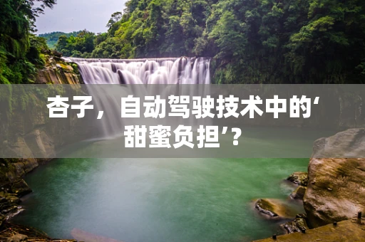 杏子，自动驾驶技术中的‘甜蜜负担’？