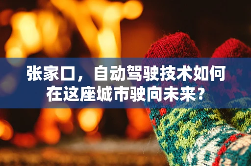 张家口，自动驾驶技术如何在这座城市驶向未来？