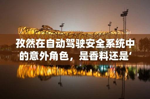 孜然在自动驾驶安全系统中的意外角色，是香料还是‘安全卫士’？