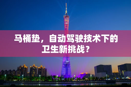 马桶垫，自动驾驶技术下的卫生新挑战？