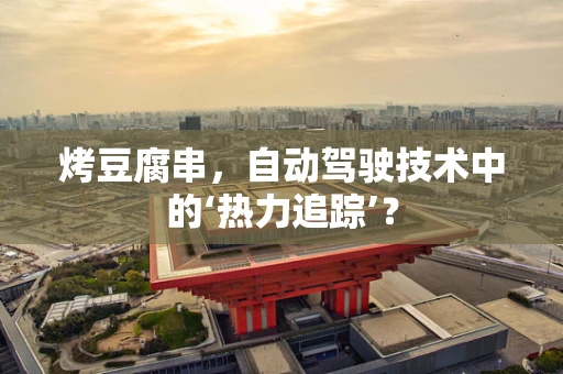 烤豆腐串，自动驾驶技术中的‘热力追踪’？