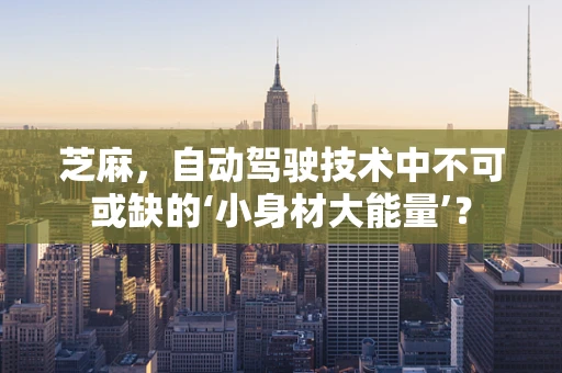 芝麻，自动驾驶技术中不可或缺的‘小身材大能量’？