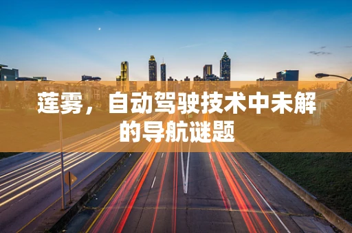 莲雾，自动驾驶技术中未解的导航谜题
