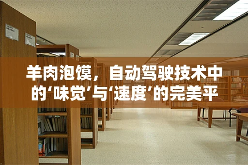 羊肉泡馍，自动驾驶技术中的‘味觉’与‘速度’的完美平衡？