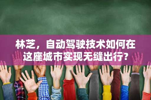 林芝，自动驾驶技术如何在这座城市实现无缝出行？