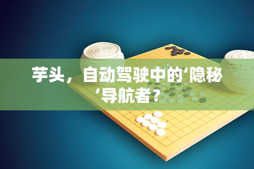 芋头，自动驾驶中的‘隐秘’导航者？