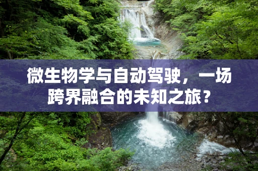 微生物学与自动驾驶，一场跨界融合的未知之旅？