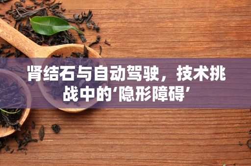 肾结石与自动驾驶，技术挑战中的‘隐形障碍’