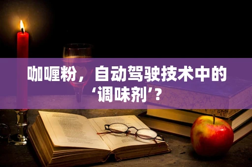 咖喱粉，自动驾驶技术中的‘调味剂’？