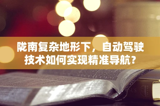 陇南复杂地形下，自动驾驶技术如何实现精准导航？