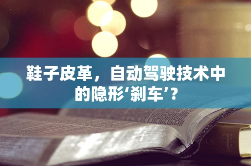 鞋子皮革，自动驾驶技术中的隐形‘刹车’？
