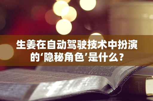 生姜在自动驾驶技术中扮演的‘隐秘角色’是什么？